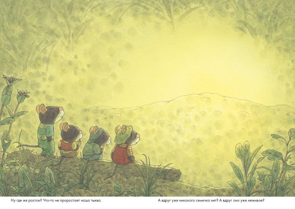 14 лесных мышей. Тыква фото книги 6