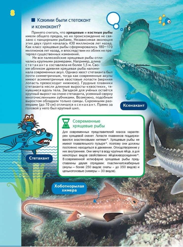 Эра динозавров фото книги 9