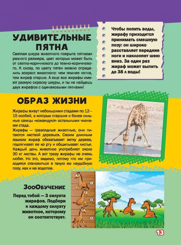 Моя первая большая книга о животных фото книги 5