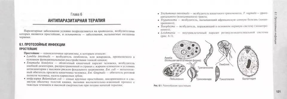 Руководство по антимикробной терапии в педиатрии фото книги 2