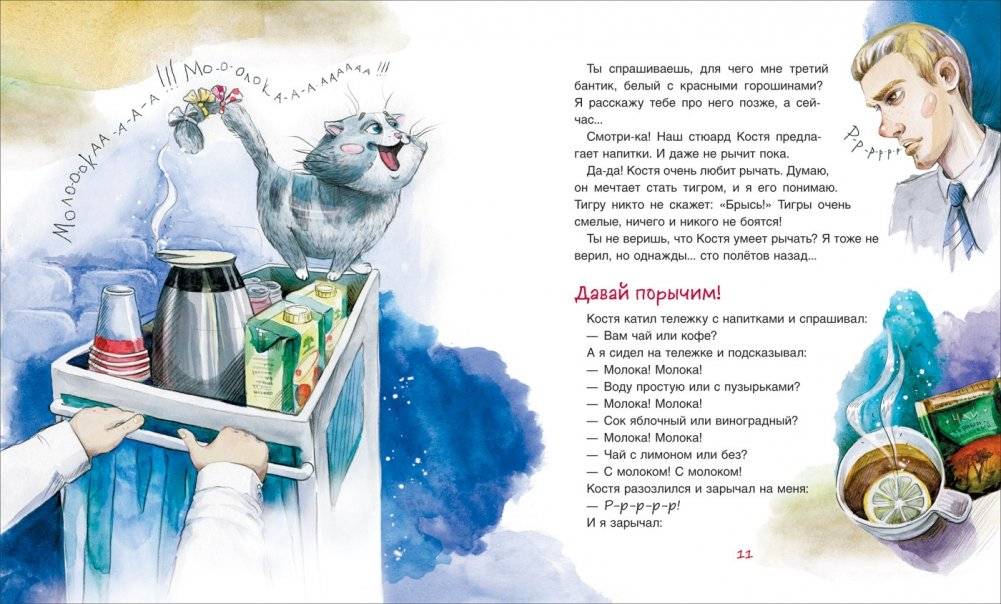 Самолетный кот фото книги 2