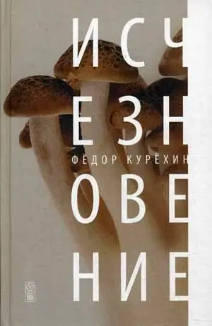 Исчезновение фото книги