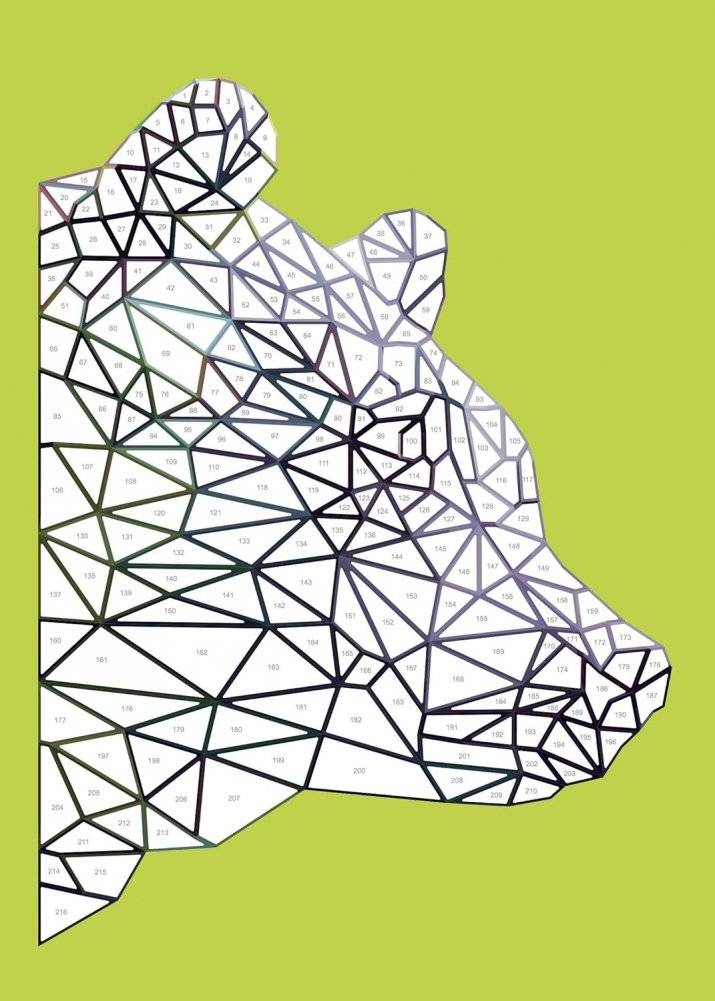 Geometrics фото книги 5