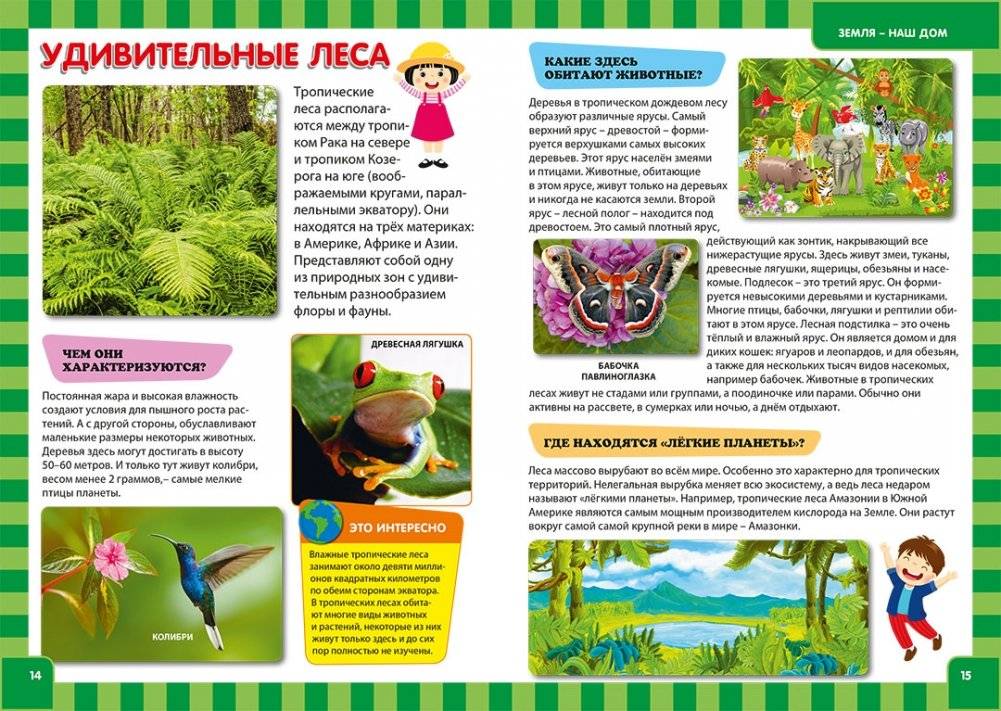 Книга для детей в вопросах и ответах. Иллюстрированная энциклопедия фото книги 3