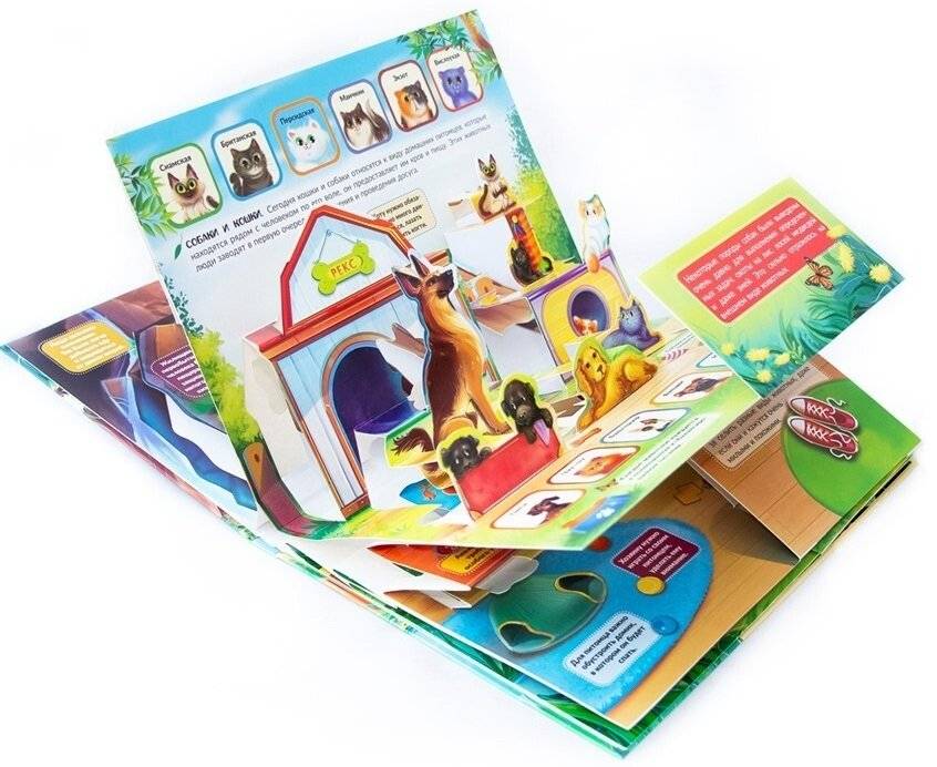 POP UP энциклопедия. Домашние животные. Книжка-панорамка фото книги 4