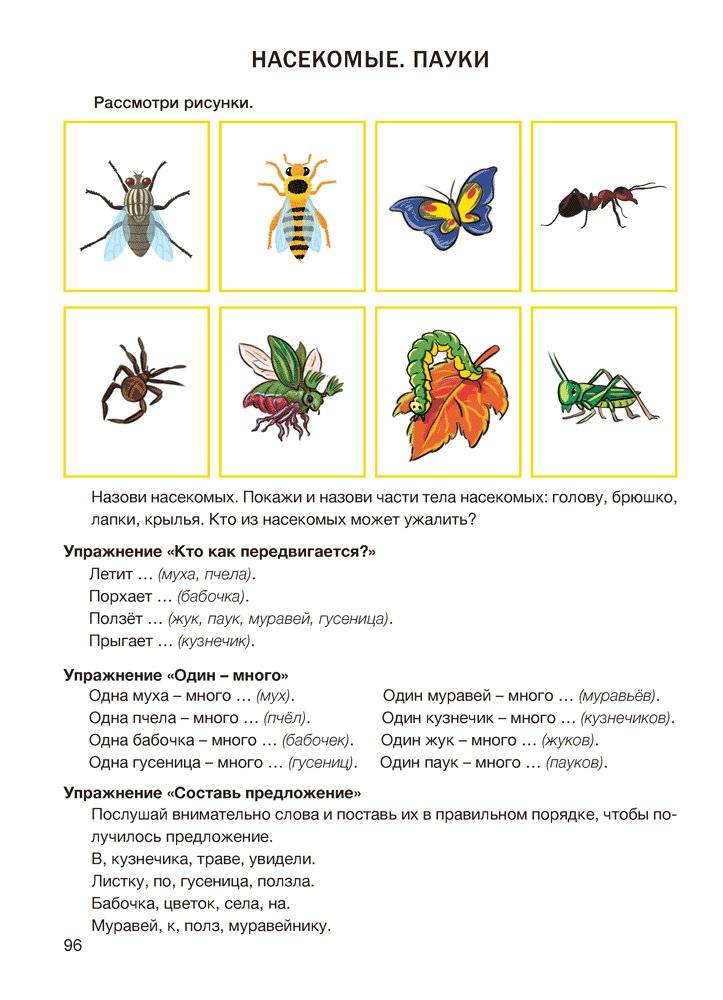 Играем вместе с логопедом. Развитие речи: лексика и грамматика. Часть 2. ГРИФ фото книги 7
