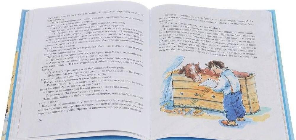 Папа, мама, бабушка и восемь детей в деревне, или Маленький подарок Антона фото книги 5