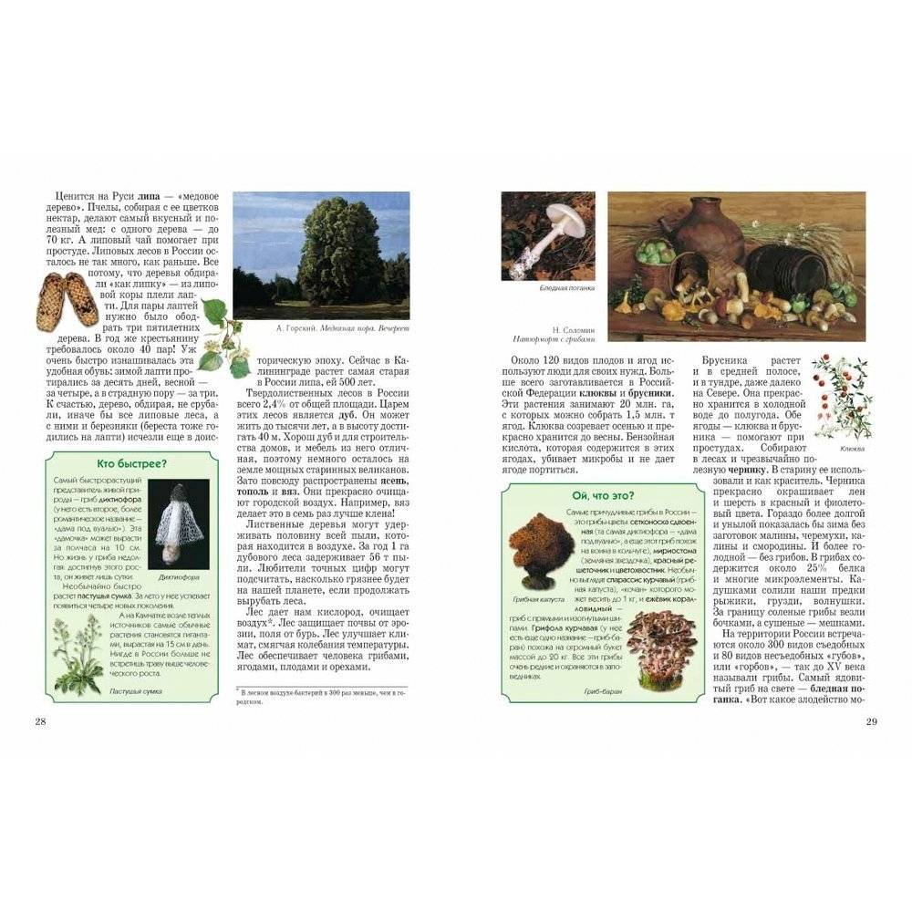 Природа России фото книги 7