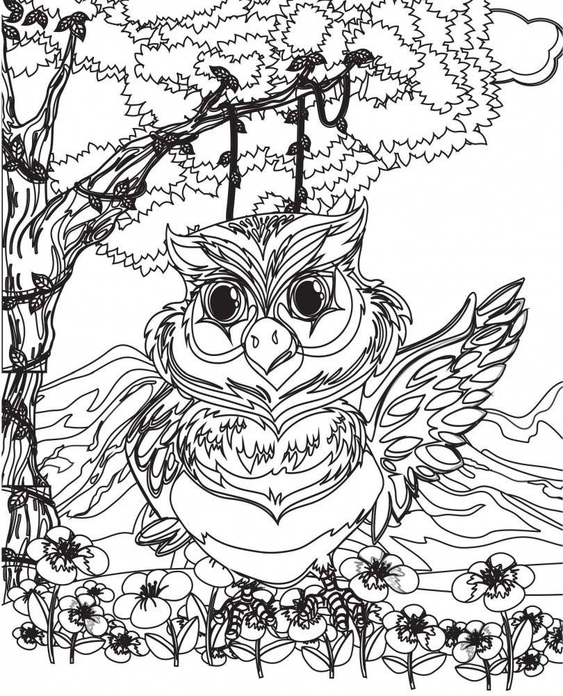 Раскраски из сказки. Птицы фото книги 2