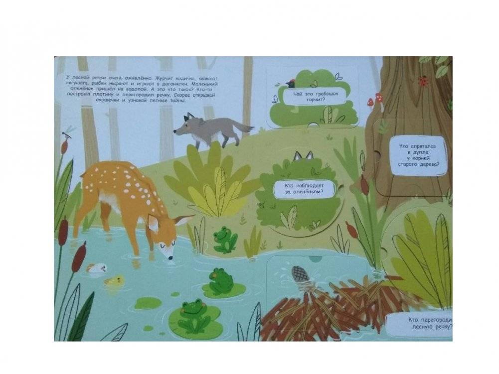 Книжка с окошками. В лесу фото книги 3