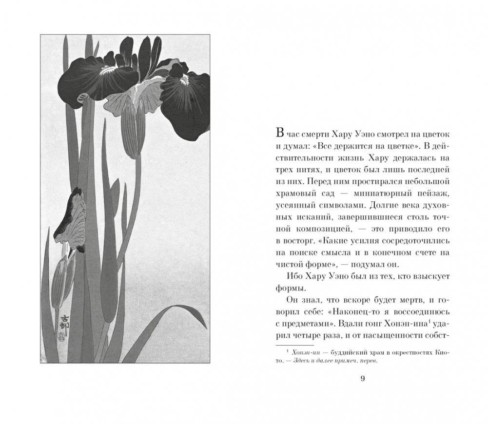 Час откровения фото книги 2