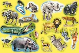 Кто живет в Африке фото книги 2