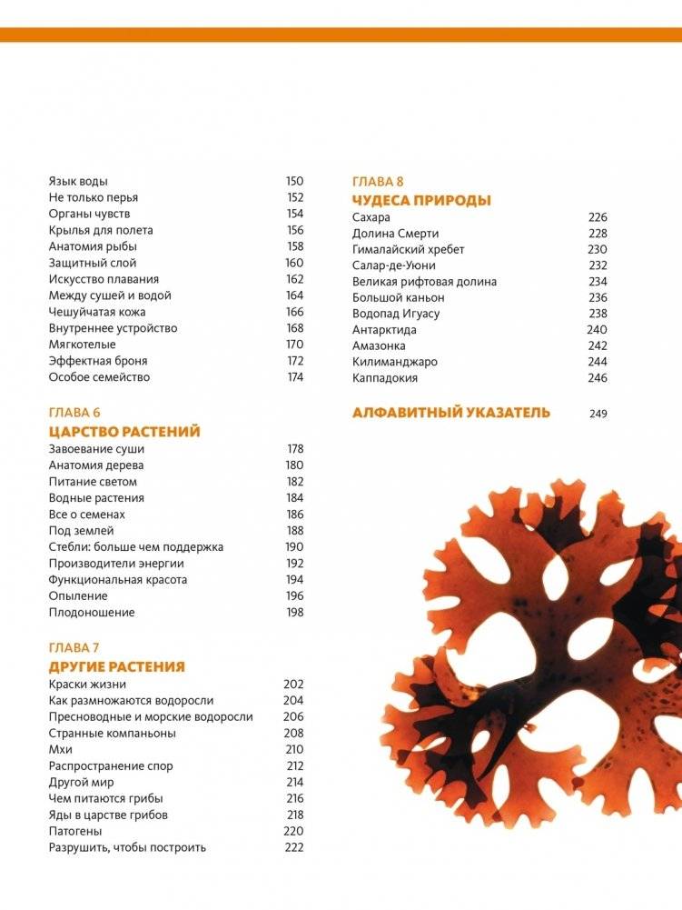 Наша планета Земля. Большая иллюстрированная энциклопедия фото книги 3