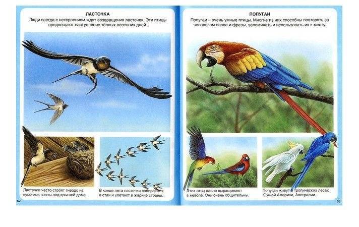 Животные фото книги 3