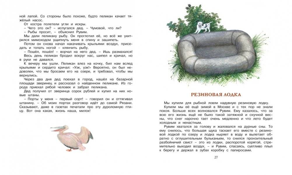 Корзина с еловыми шишками фото книги 4