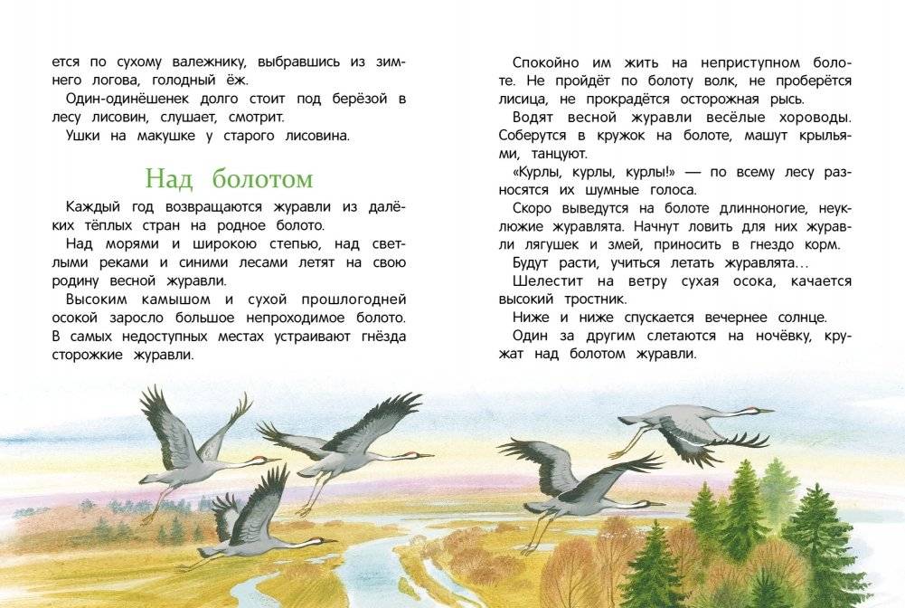 Рассказы о природе фото книги 2