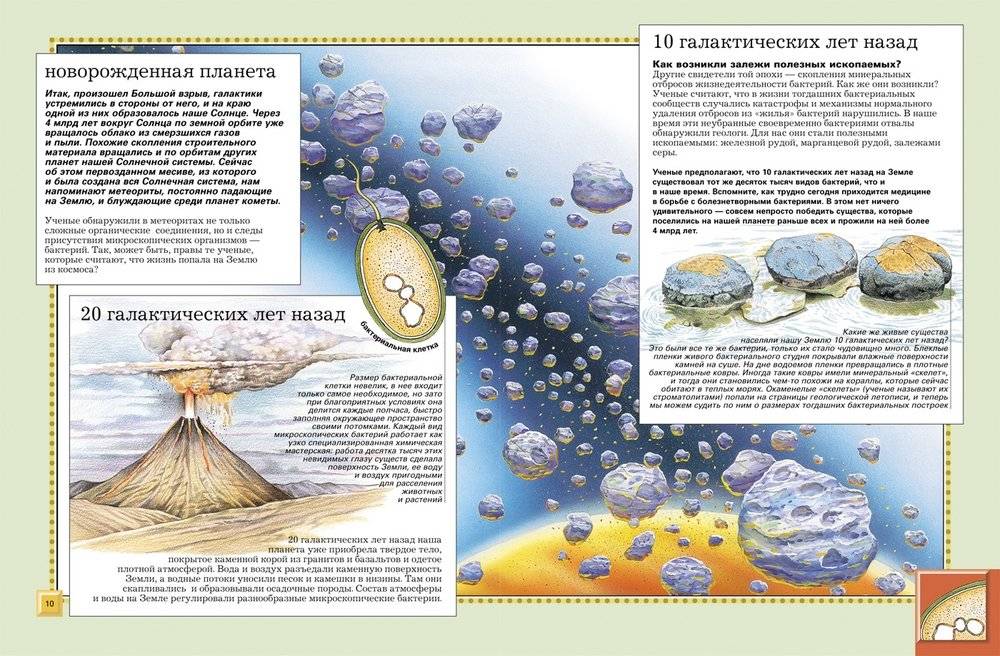 Животные. Полная энциклопедия фото книги 2