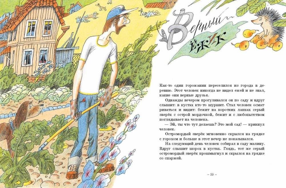 Верный ёжик фото книги 3