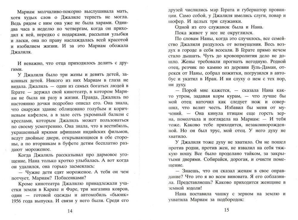 Тысяча сияющих солнц фото книги 4