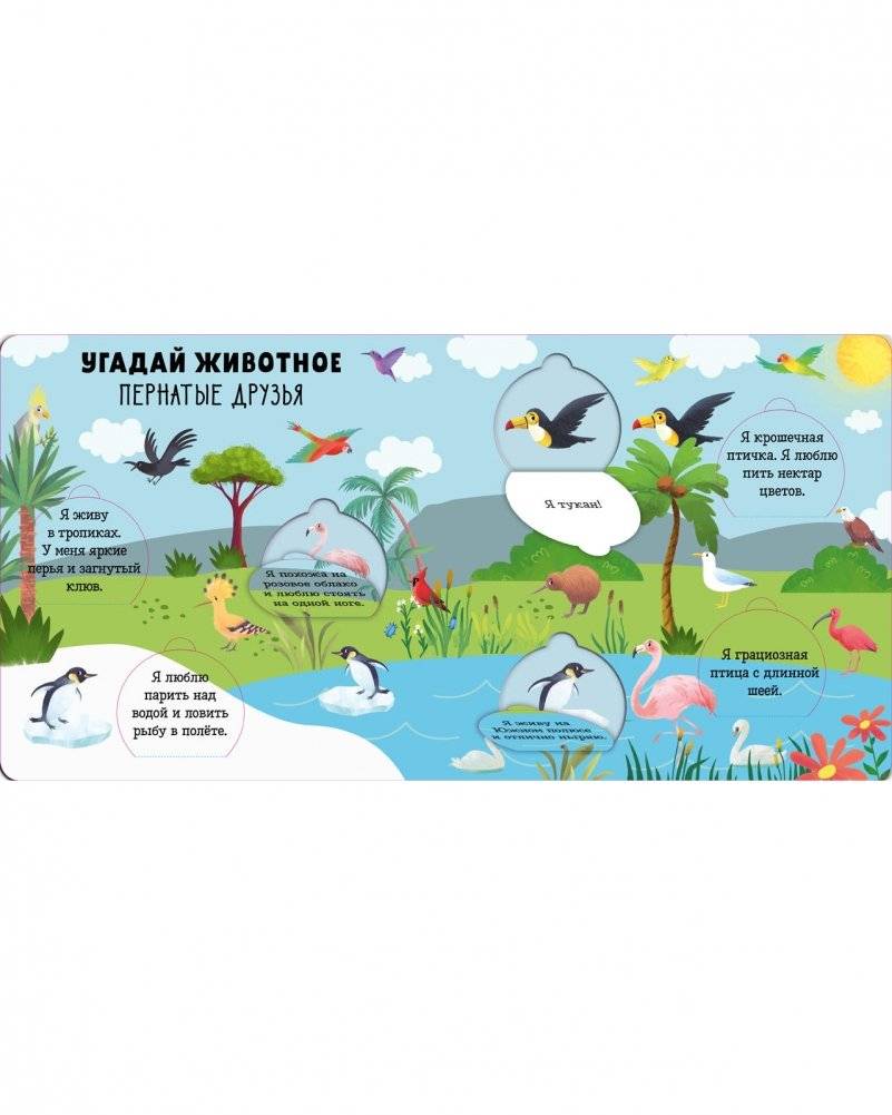 Угадай животное фото книги 2