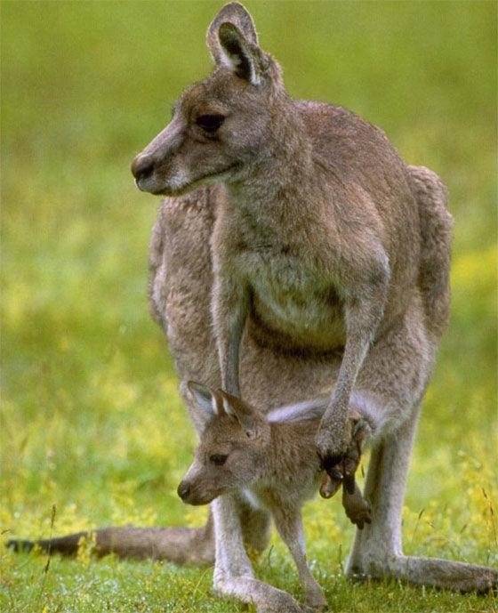 Дочки-матери фото книги 5