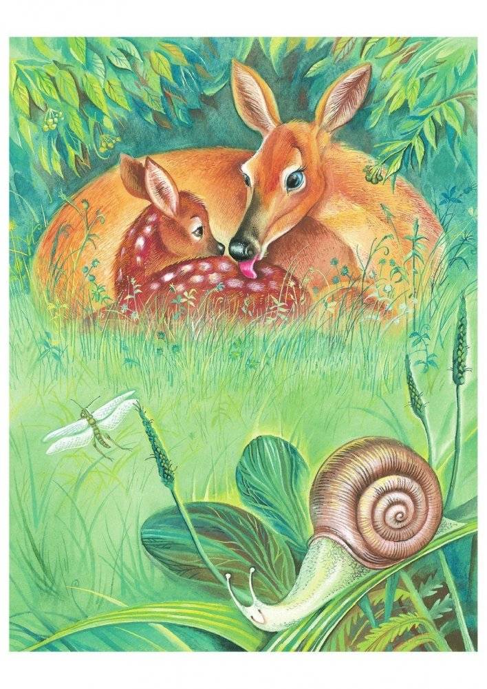 Бемби фото книги 7