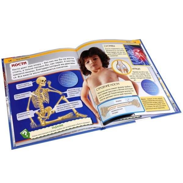 Тело человека. Энциклопедия фото книги 2