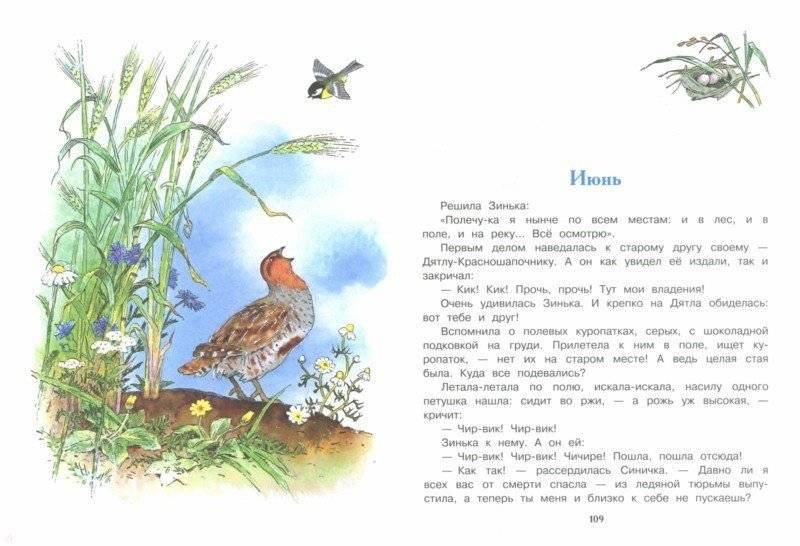 Все лучшие рассказы для детей фото книги 2