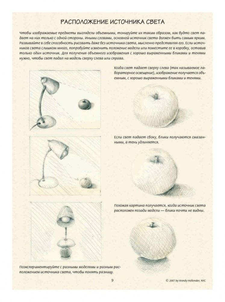 Ботаническая иллюстрация. Обучающий скетчбук фото книги 9