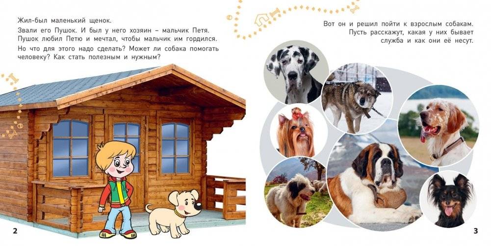 Какие бывают собаки? фото книги 2