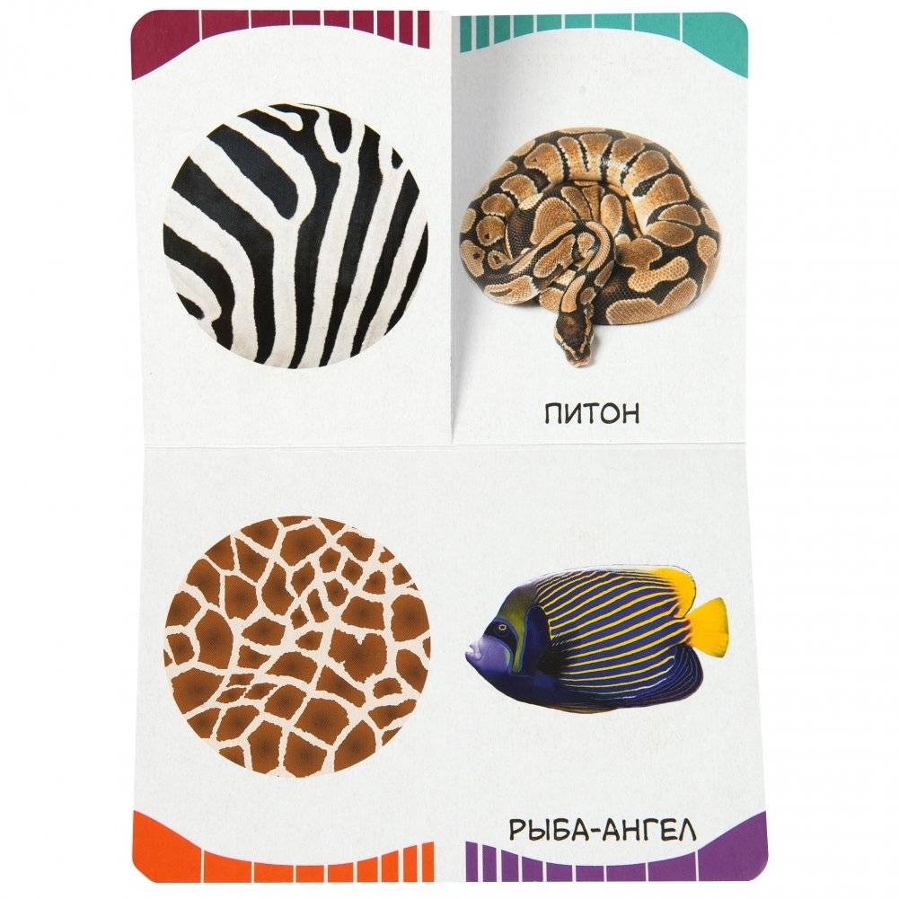 Пятнышки-полоски фото книги 5