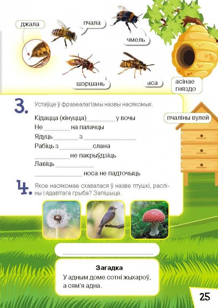 Жывёльны свет Беларусі. Узбагачаем слоўнікавы запас, выконваем заданні, пашыраем кругагляд (6-10 гадоў) фото книги 5