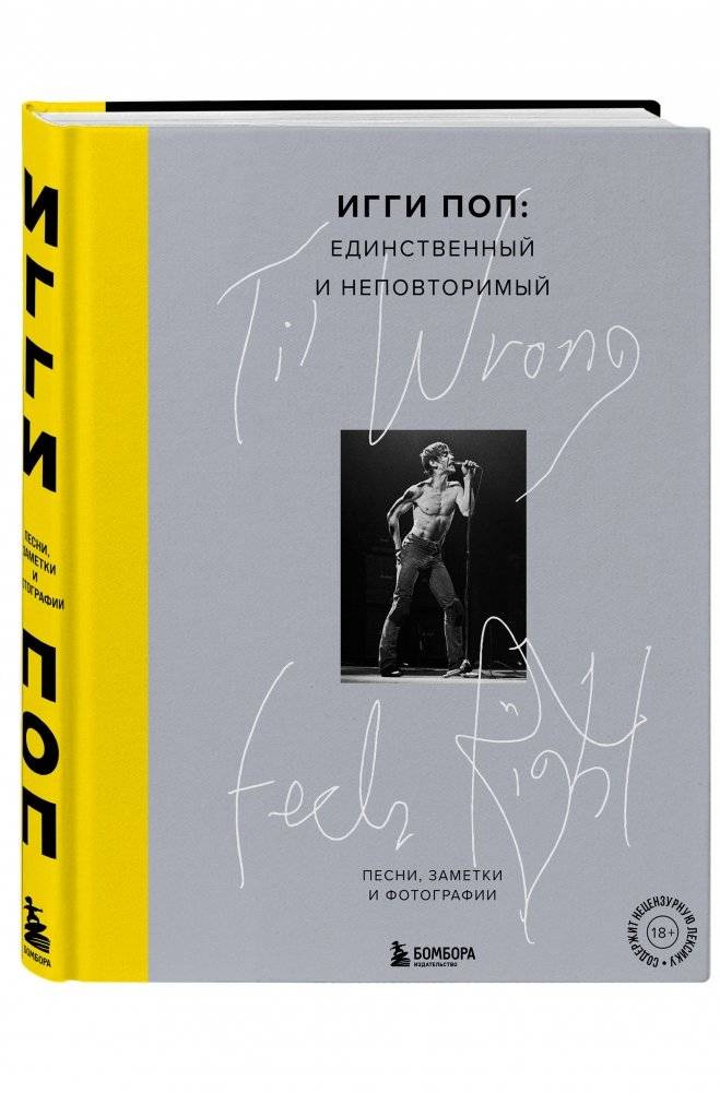 Игги Поп: единственный и неповторимый. Песни, заметки и фотографии фото книги 2