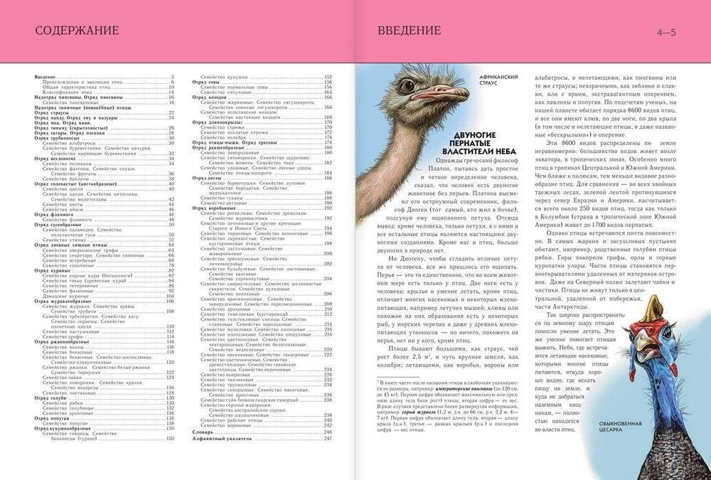 Птицы. Полная энциклопедия фото книги 4