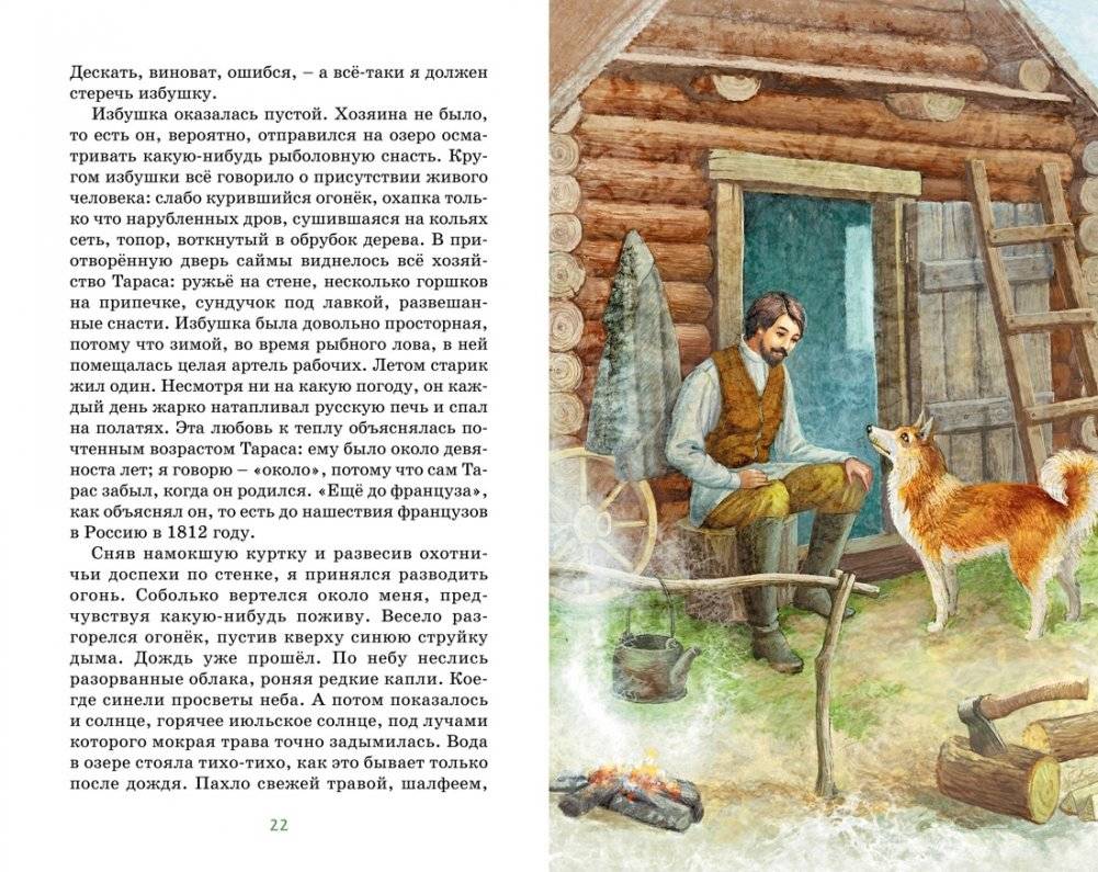 Серая шейка фото книги 4