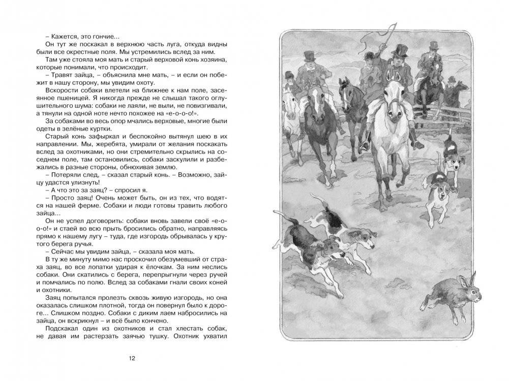 Чёрный красавчик фото книги 2