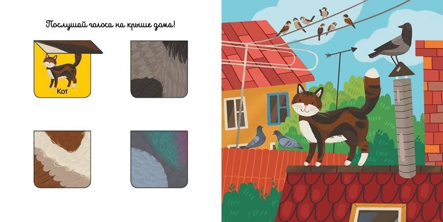 На все голоса фото книги 5