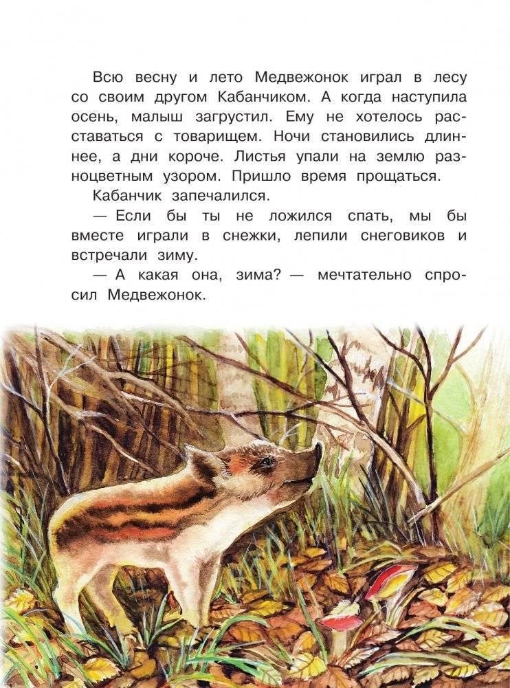 Снежные сказки для почемучки фото книги 7