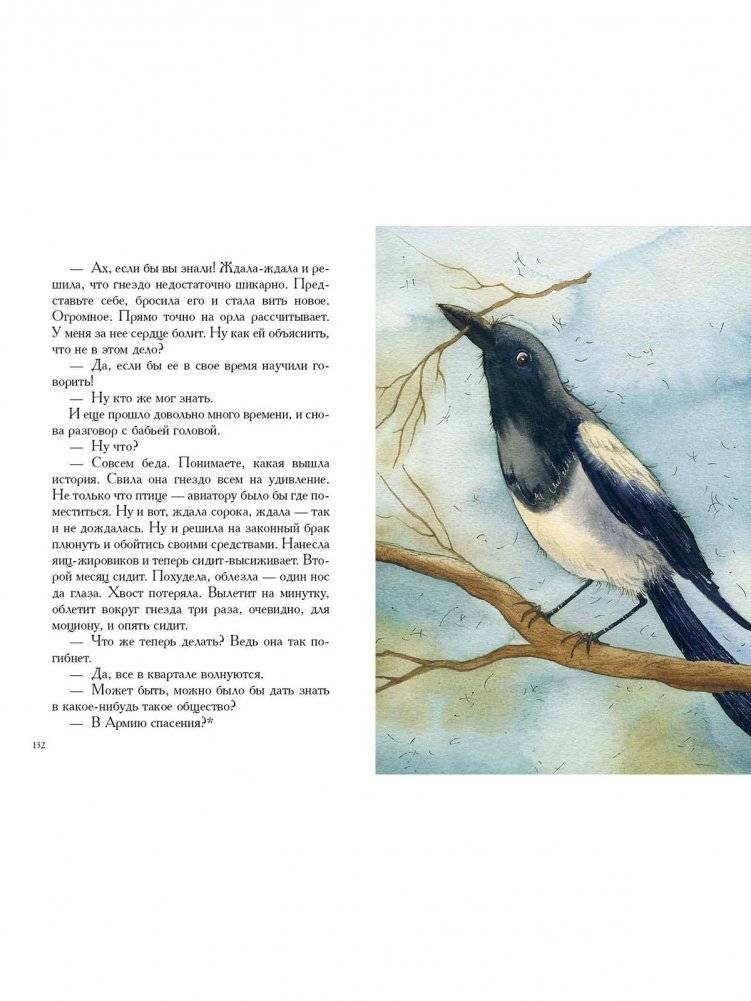 О зверях и людях фото книги 5