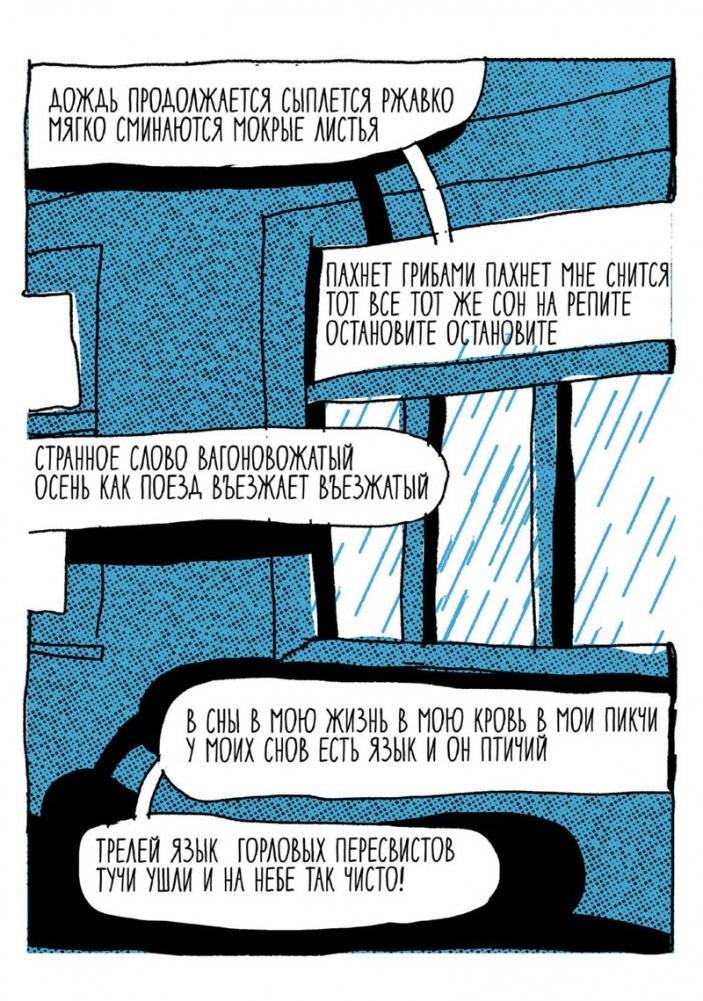 Соня-9 фото книги 6