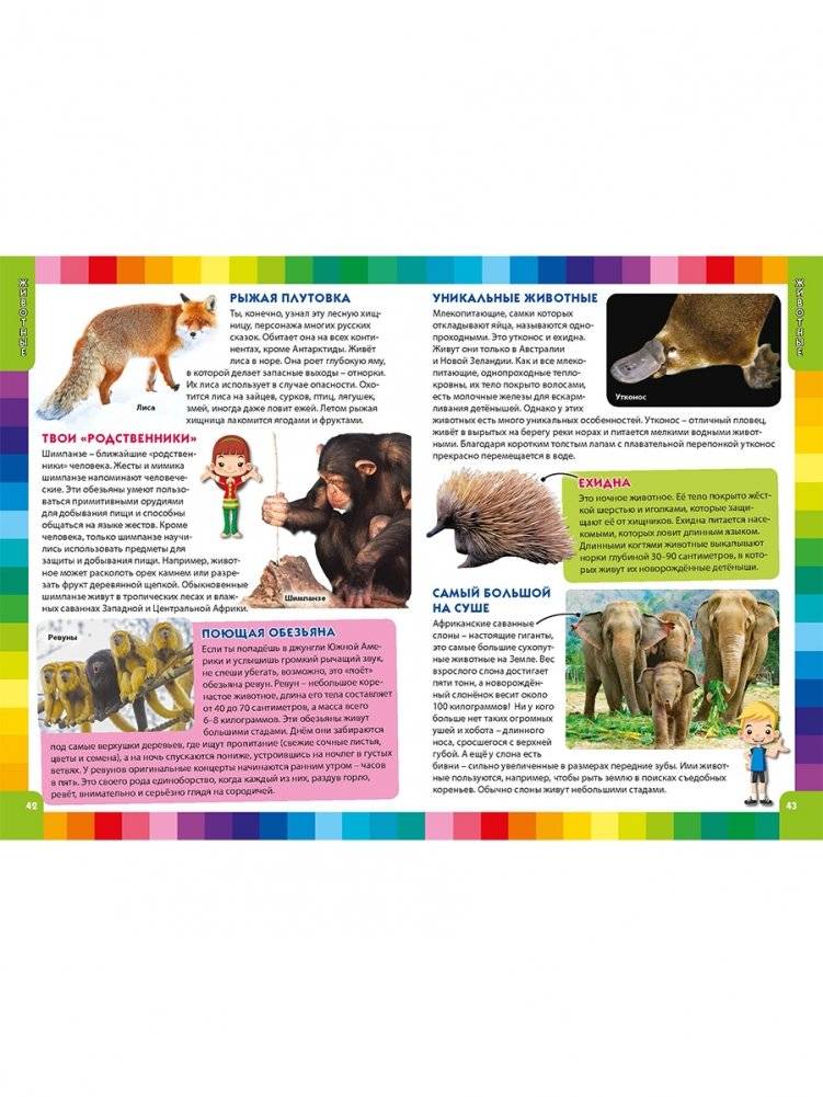 Детская энциклопедия для маленьких почемучек фото книги 5