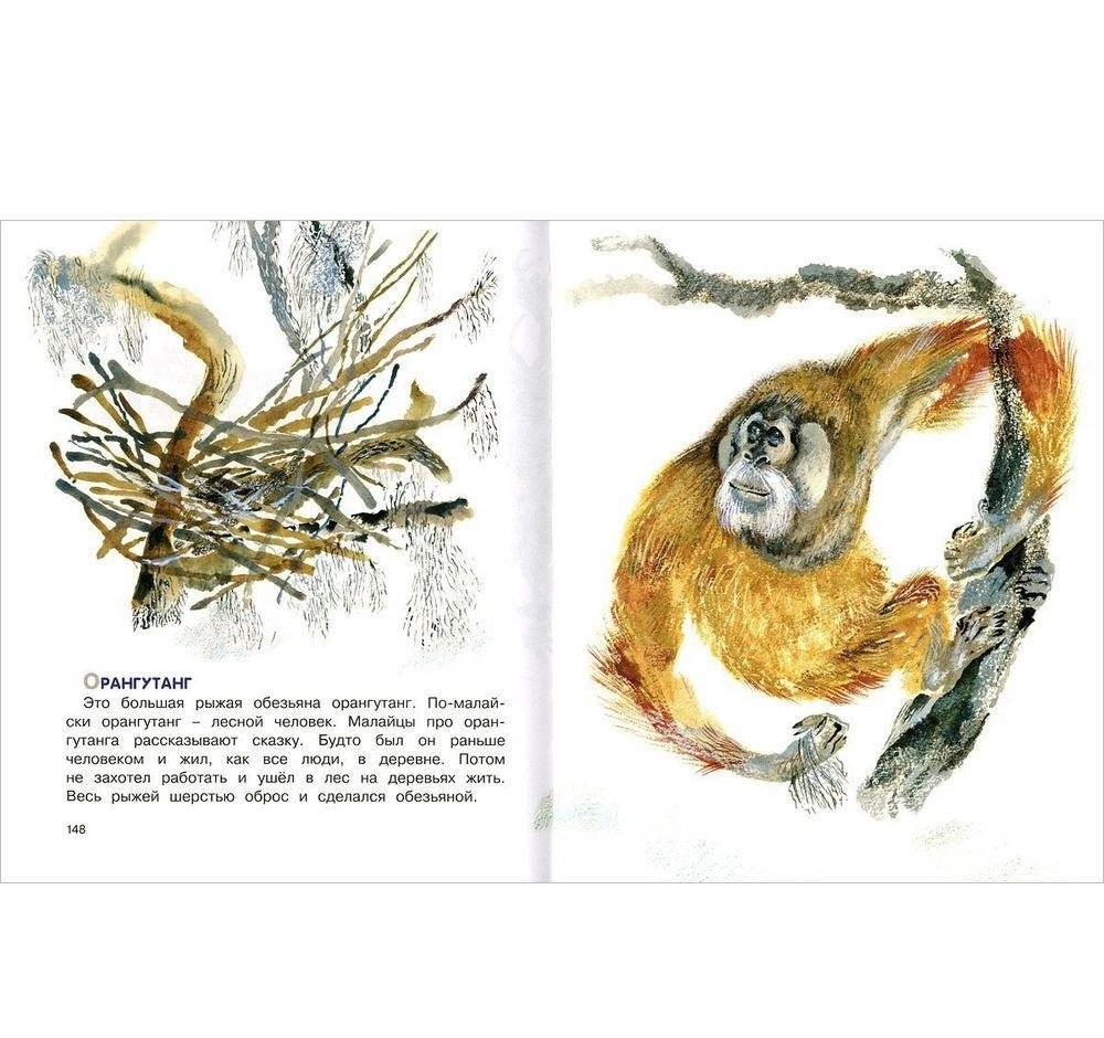 Друзья фото книги 7