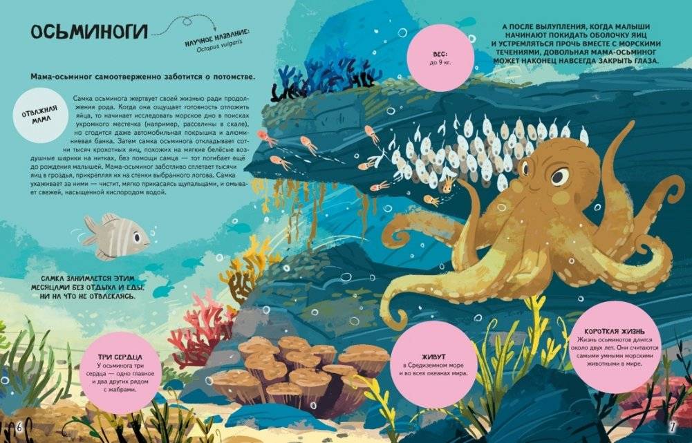 Семья в мире животных. Любовь, забота и воспитание в дикой природе фото книги 2