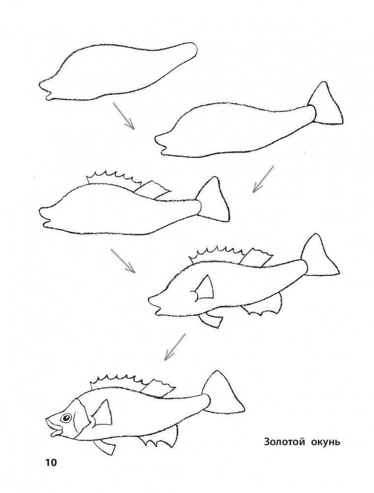 Рисование. Первые шаги фото книги 9