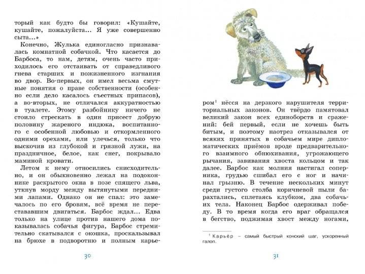 Белый пудель фото книги 4