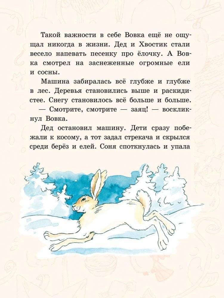 Апельсин фото книги 7