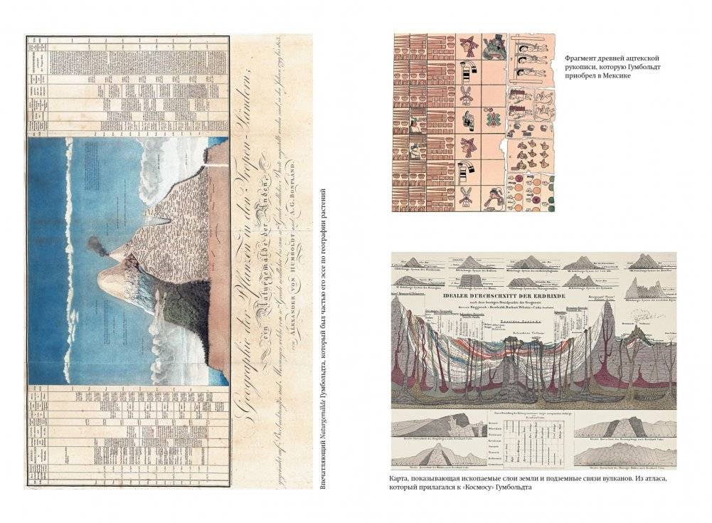 Открытие природы. Путешествия Александра фон Гумбольдта фото книги 4