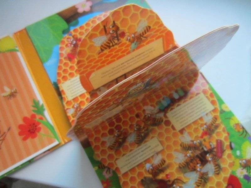 Улей. Как живут пчёлы? фото книги 5