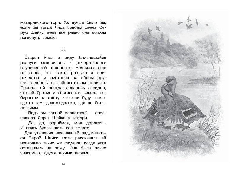 Серая Шейка фото книги 6