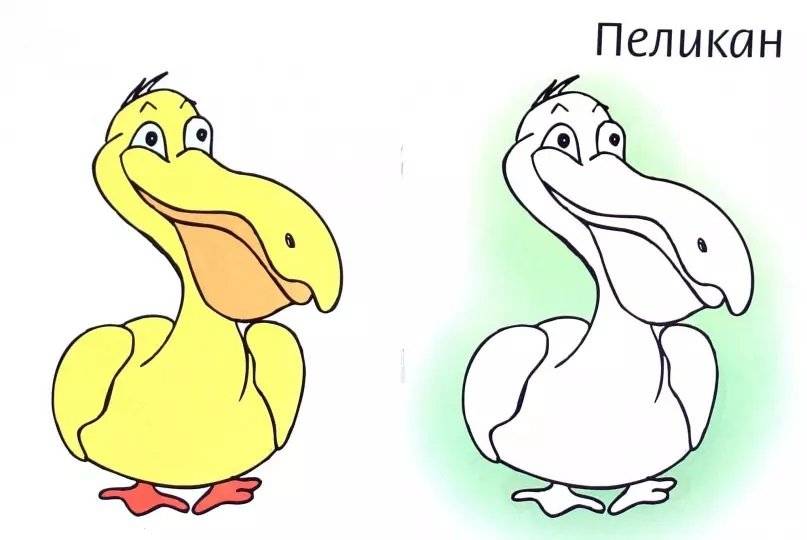 Птицы. Раскраска фото книги 2